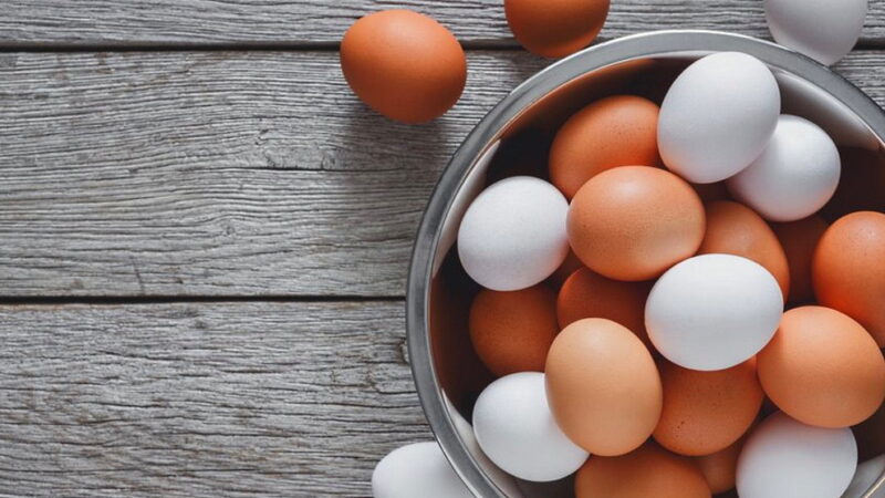 World Egg Day - October