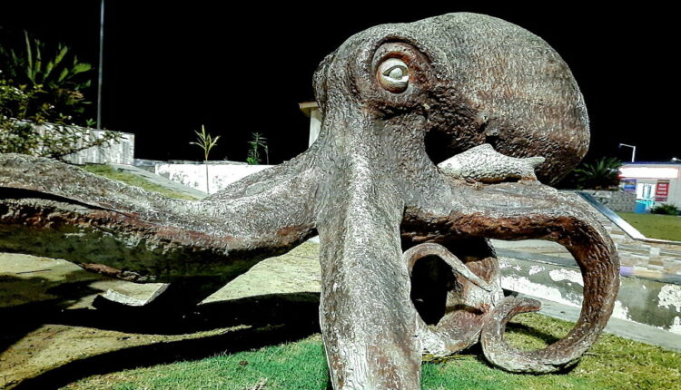 World Octopus Day - October 8