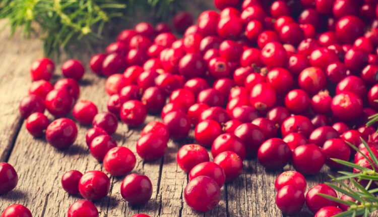 Eat a Cranberry Day - November 23