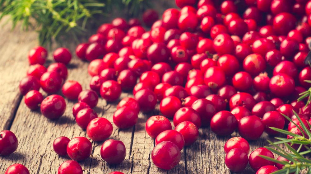 Eat a Cranberry Day - November 23