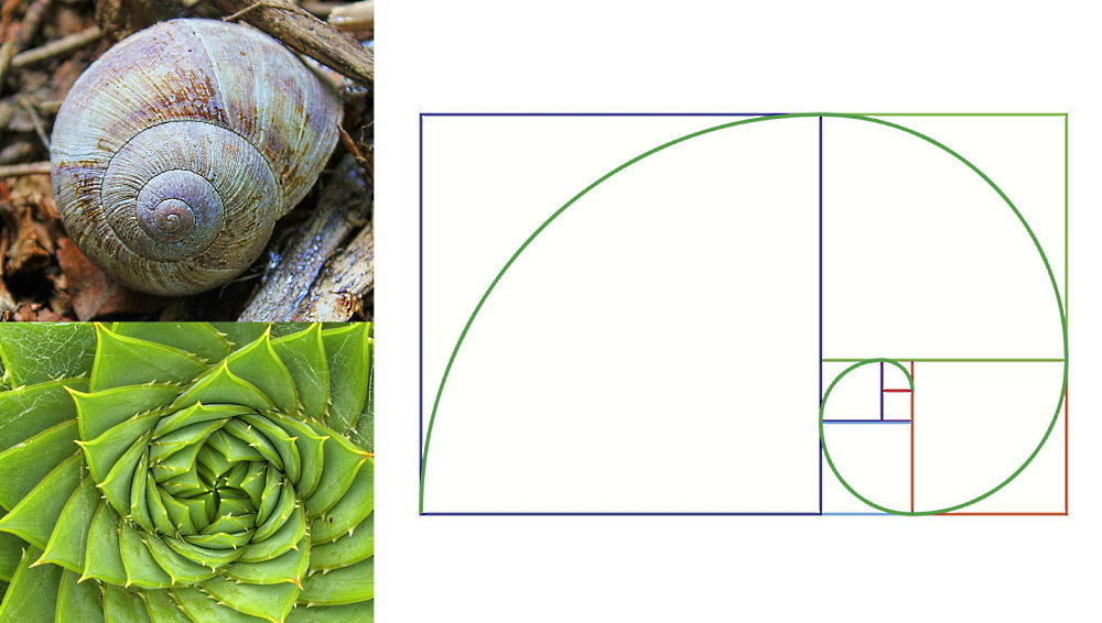 Fibonacci Day - November 23