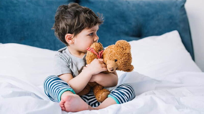 Have a Party with Your Bear Day - November 16