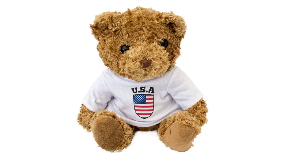 National American Teddy Bear Day November 14, 2024