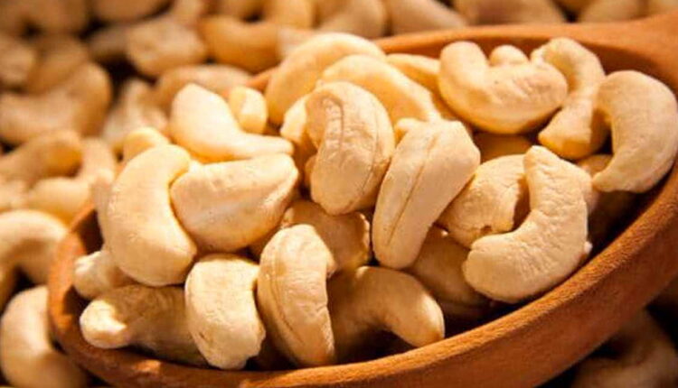 National Cashew Day - November 23