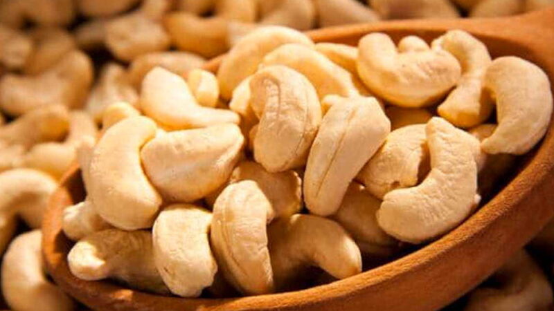 National Cashew Day - November 23