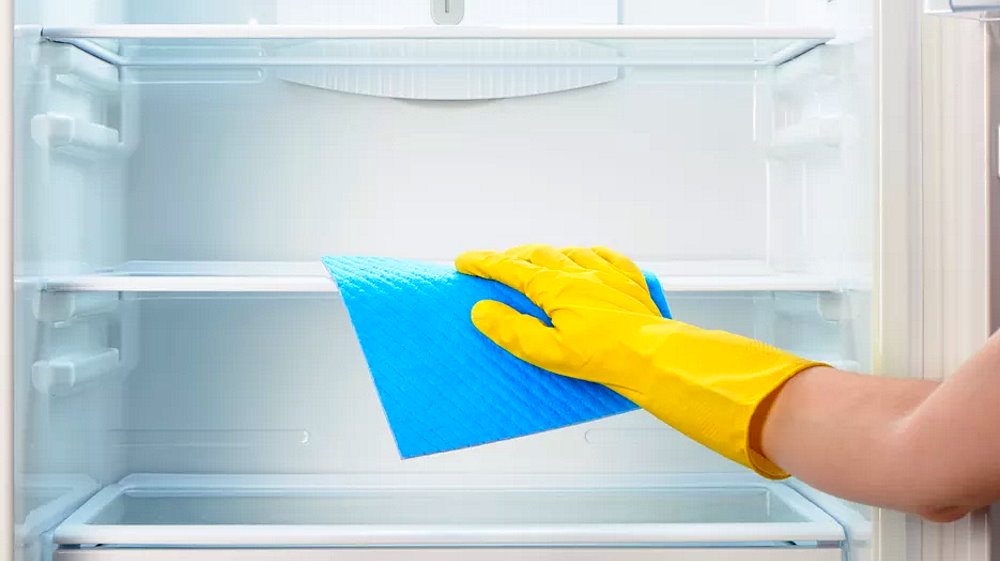 National Clean Out Your Refrigerator Day - November 15