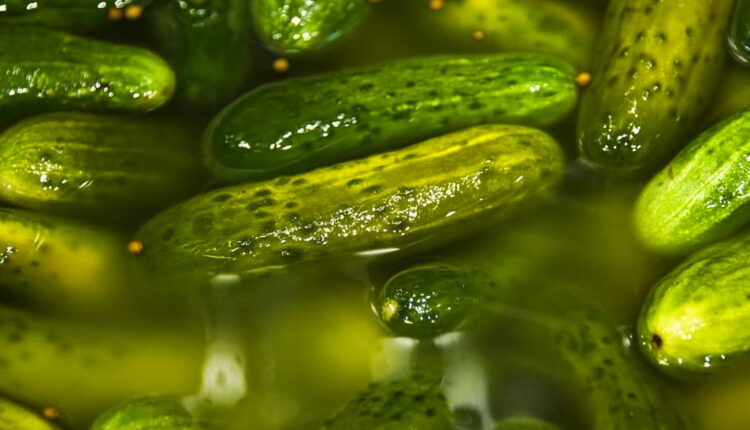 National Pickle Day - November 14