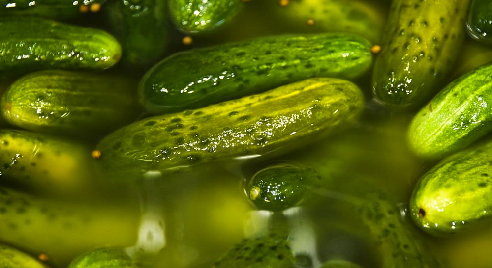 National Pickle Day - November 14