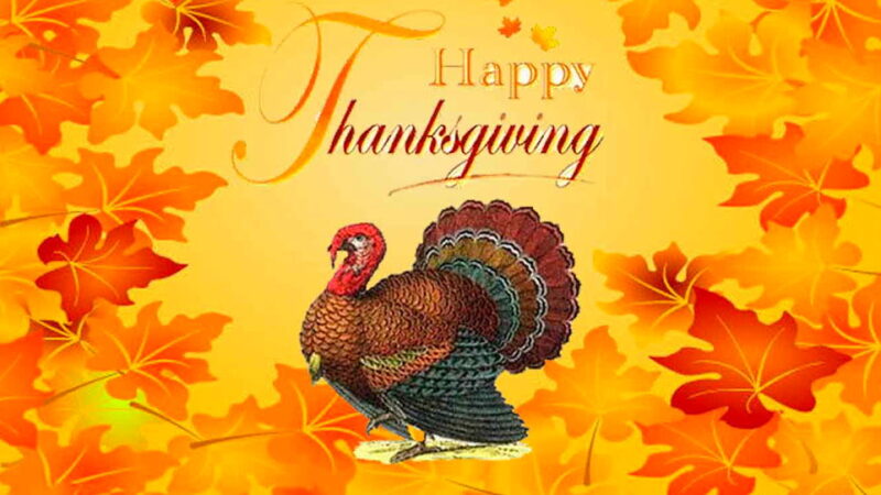 Turkey Free Thanksgiving - November