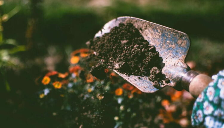World Soil Day - December 5