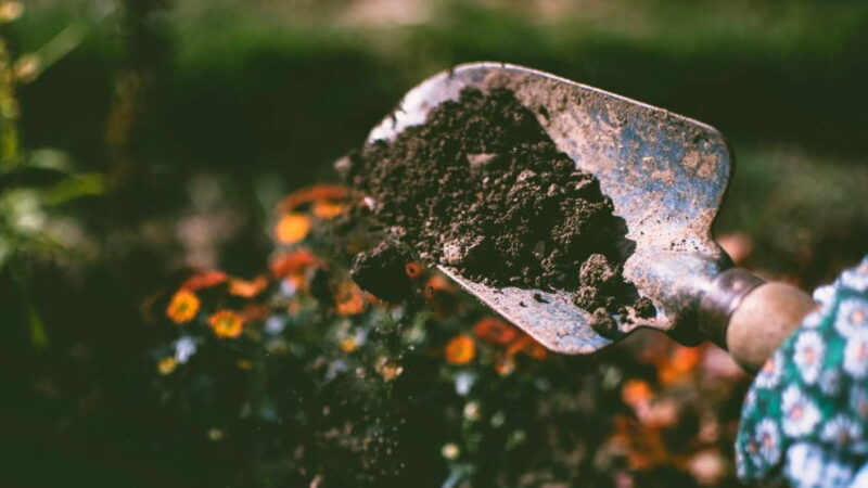 World Soil Day - December 5