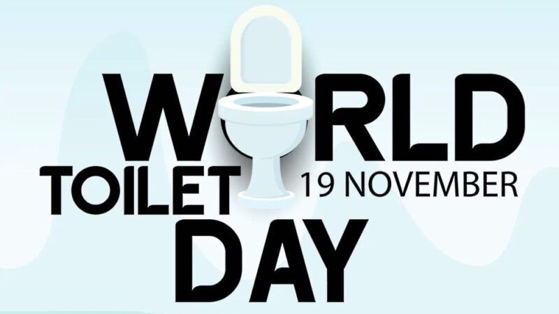 World Toilet Day - November 19