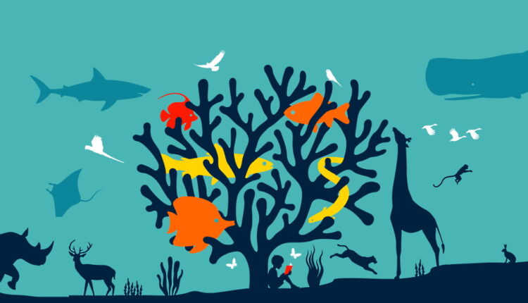 World Wildlife Conservation Day - December 4