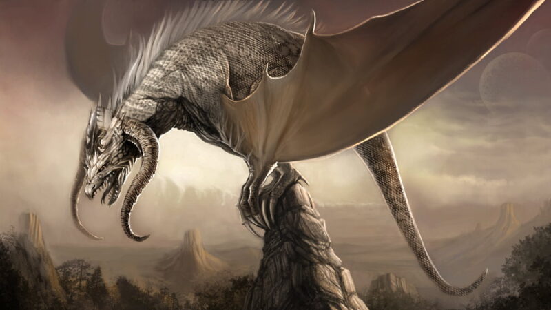 Appreciate a Dragon Day - January 25