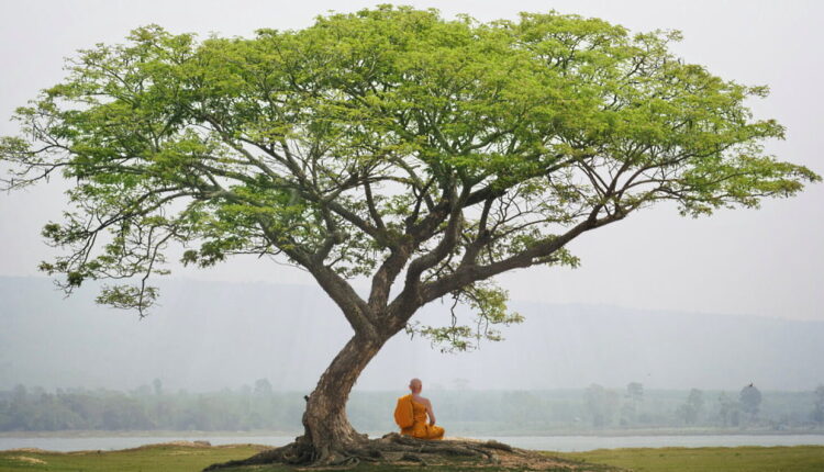 Bodhi Day - December 8