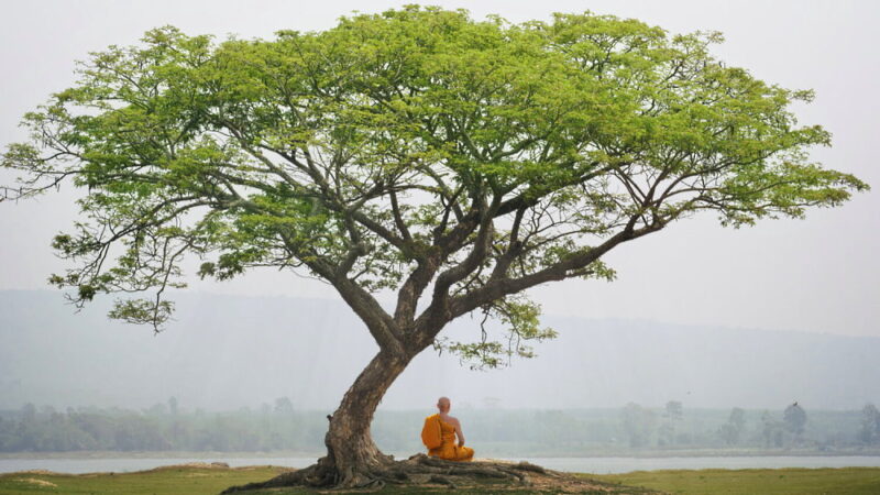 Bodhi Day - December 8