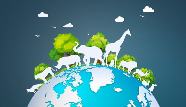 International Animal Rights Day - December 10