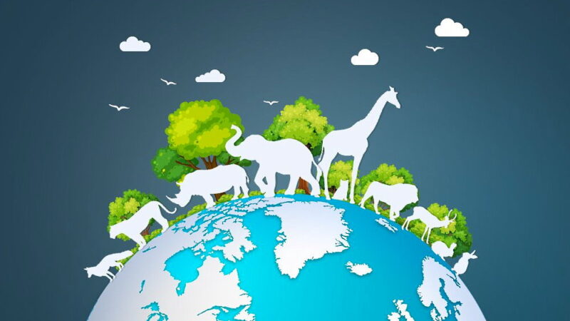 International Animal Rights Day - December 10