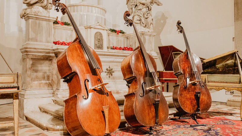 International Cello Day - December 29