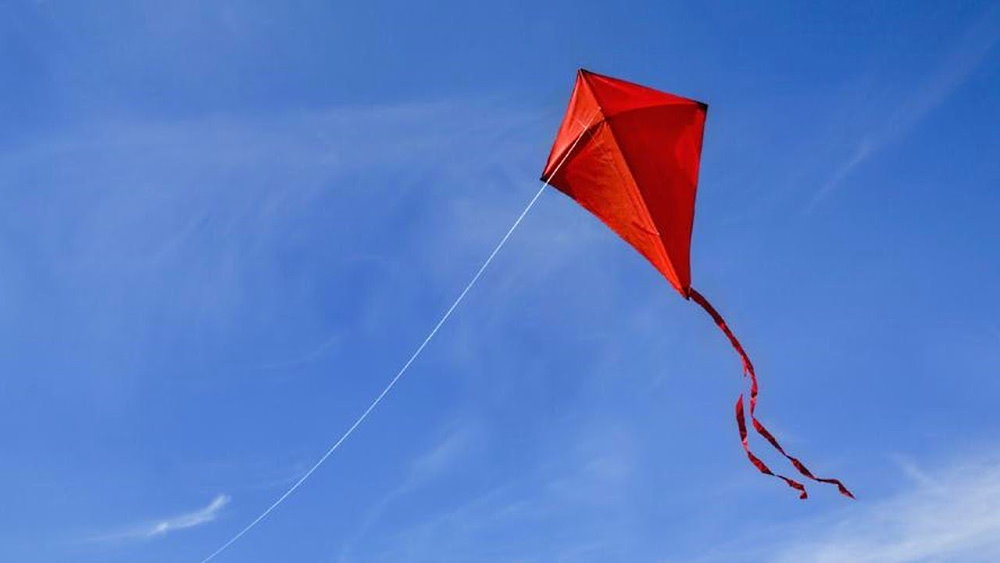 International Kite Day - January 14