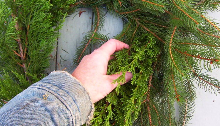 Look for an Evergreen Day - December 19