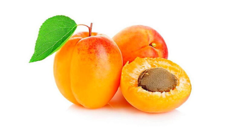 National Apricot Day - January 9