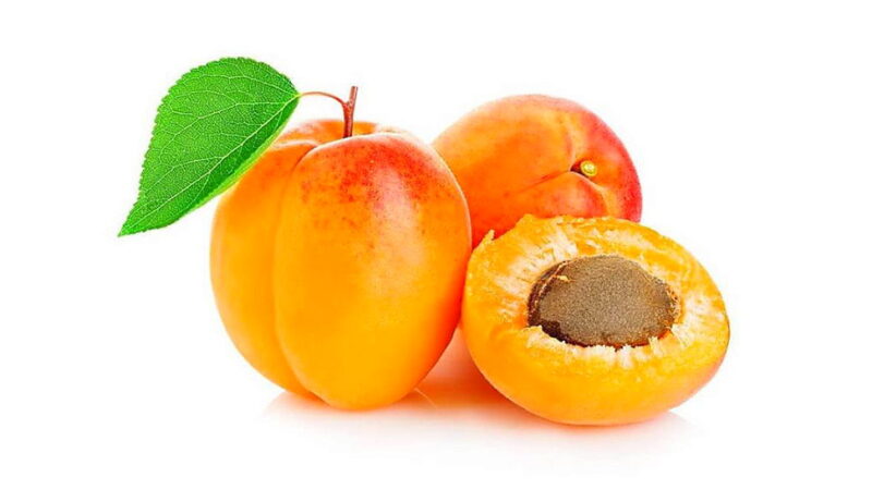National Apricot Day - January 9