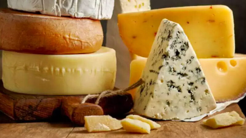 National Cheese Lovers Day - January 20