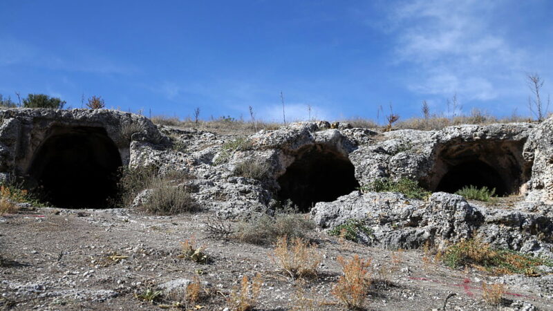 National Old Rock Day - January 7