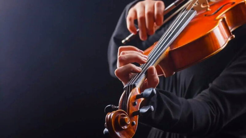 National Violin Day - December 13