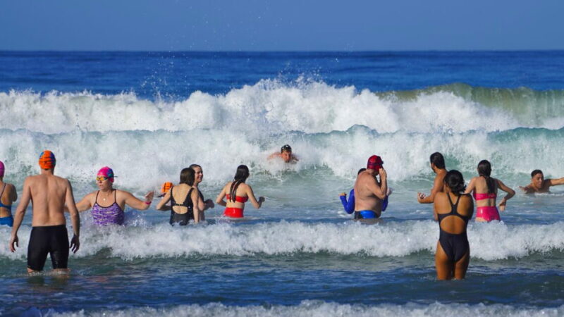 Polar Bear Plunge Day - January 1