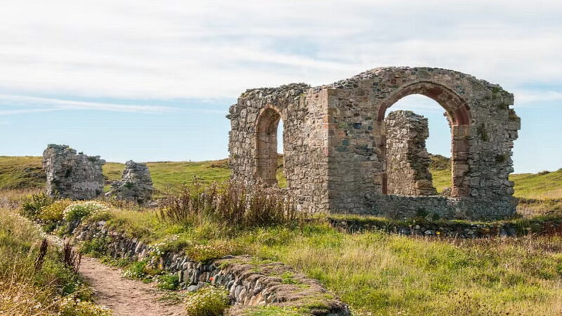 St. Dwynwen's Day - January 25