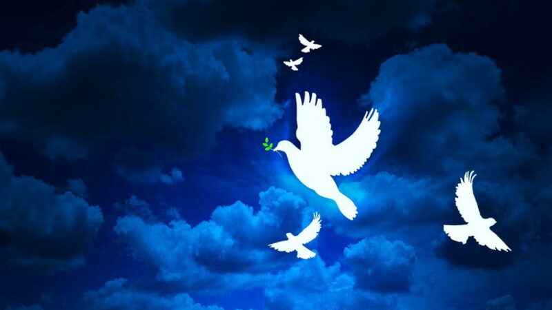 World Day of Peace - January 1