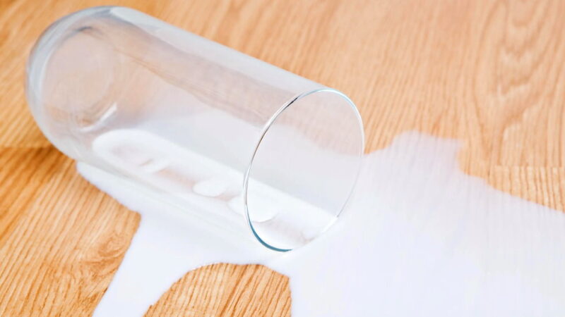 Don't Cry Over Spilled Milk Day - February 11