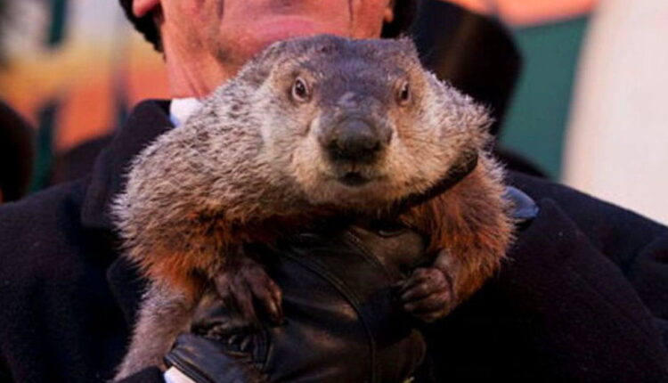 Groundhog Day - February 2