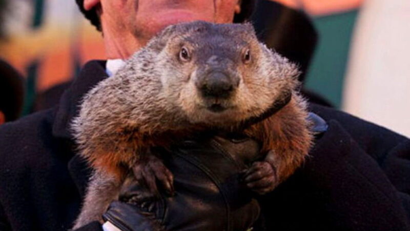 Groundhog Day - February 2