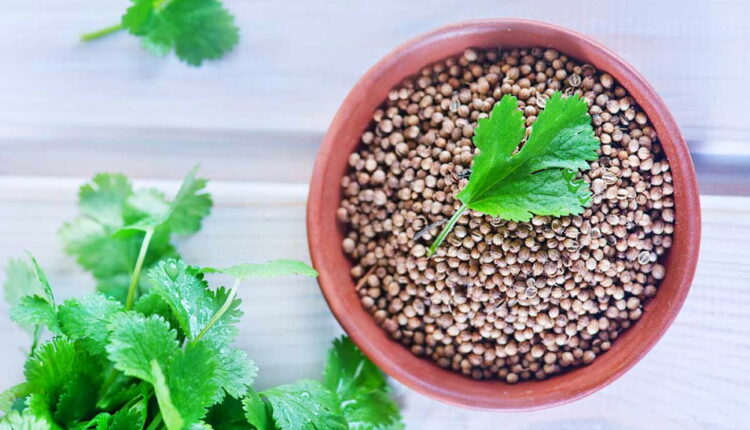 I Hate Coriander Day - February 24