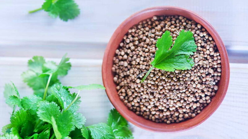 I Hate Coriander Day - February 24