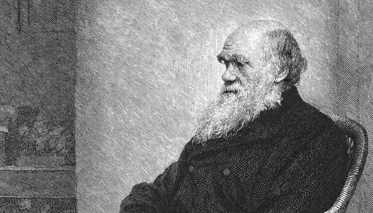 International Darwin Day - February 12