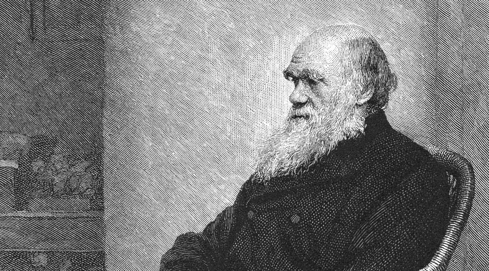 International Darwin Day - February 12