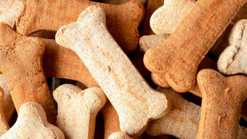International Dog Biscuit Appreciation Day - February 23