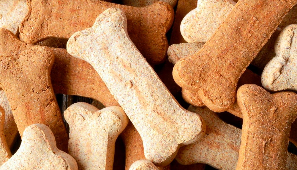 International Dog Biscuit Appreciation Day - February 23