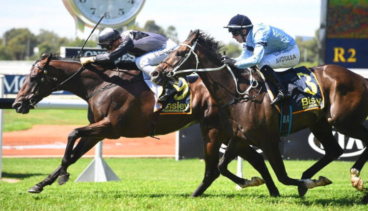 Launceston Cup - February 23