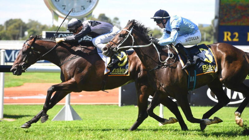 Launceston Cup - February 23
