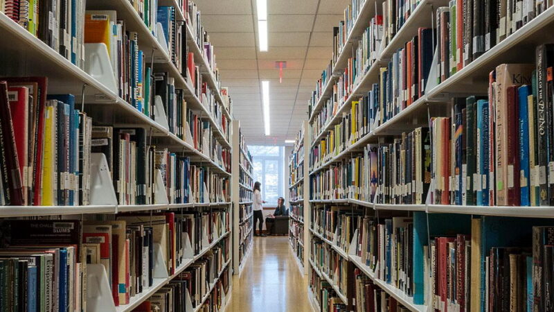 Library Lovers Day - February 14