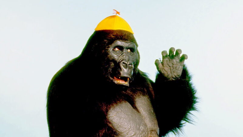 National Gorilla Suit Day - January 31