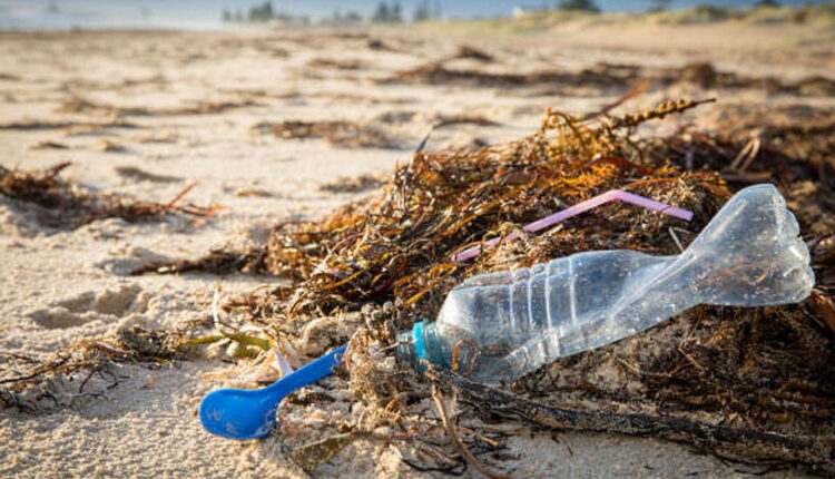 National Skip the Straw Day - February 24