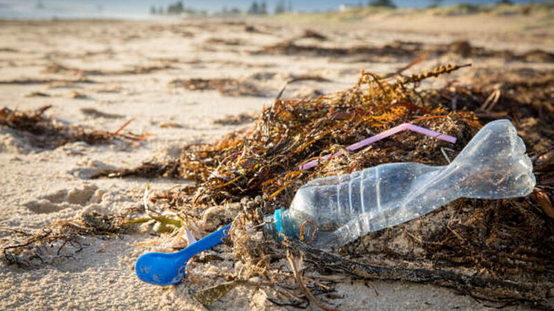 National Skip the Straw Day - February 24
