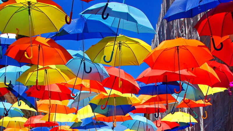 Umbrella Day - February 10