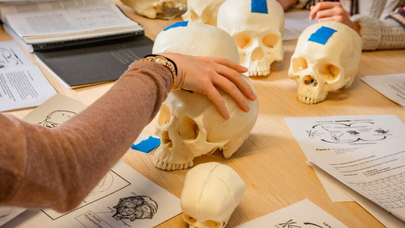 World Anthropology Day - February 16
